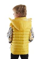 Boy's Fashion Trend Hooded Inflatable Vest Ak215051