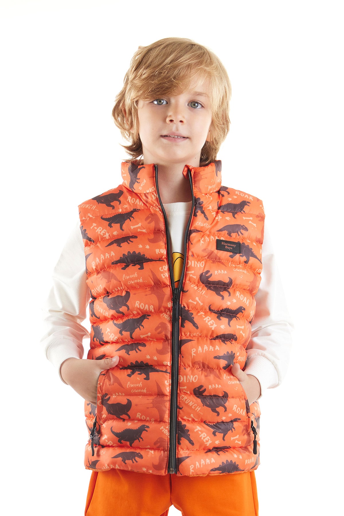 Boy Boy Dino Printed Trend Inflatable Vest AK216061