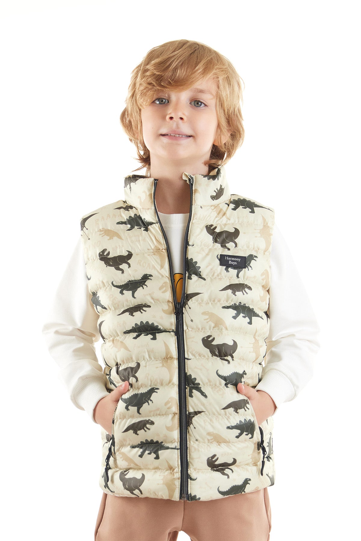 Boy Boy Dino Printed Trend Inflatable Vest AK216061