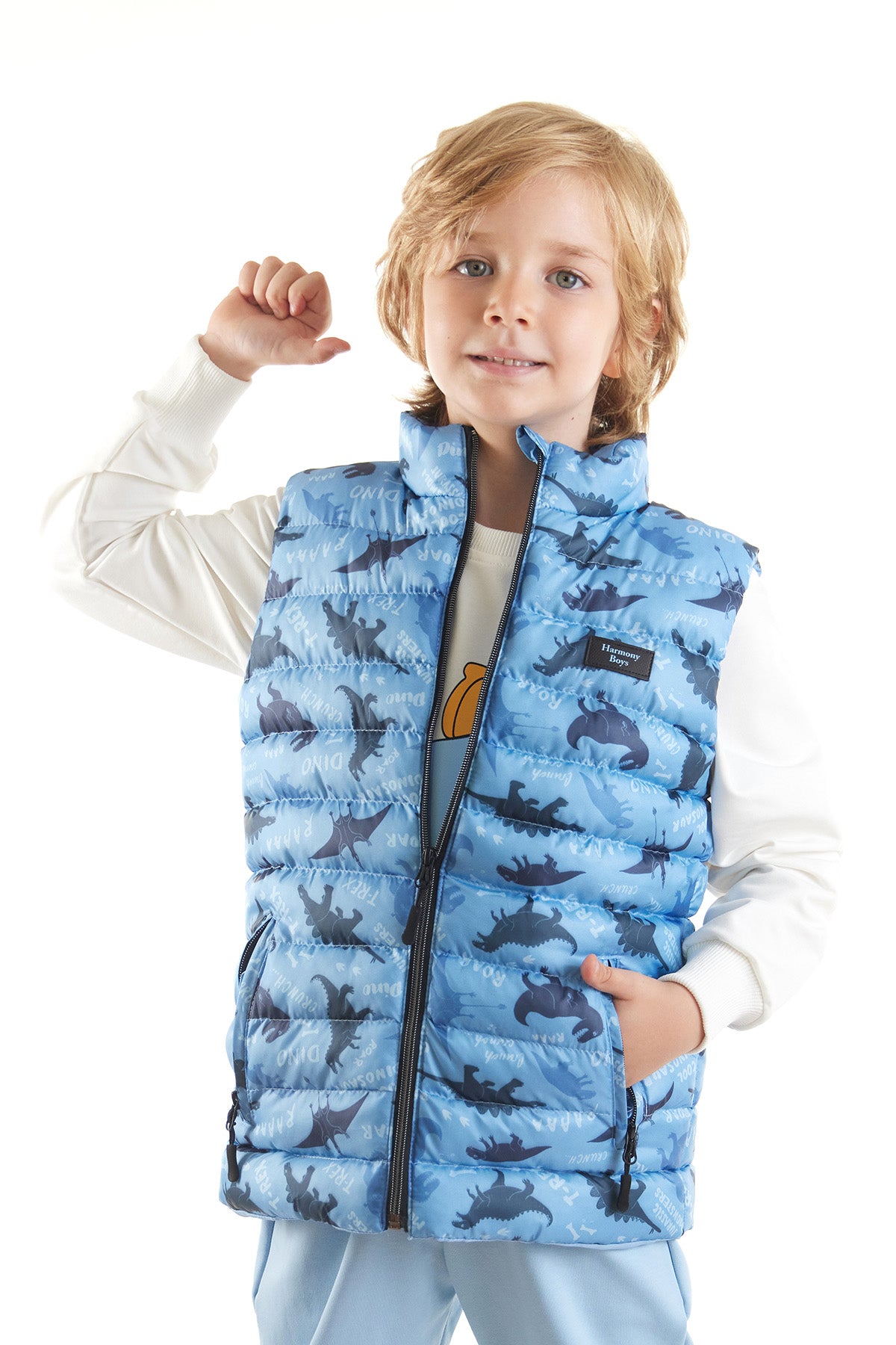 Boy Boy Dino Printed Trend Inflatable Vest AK216061