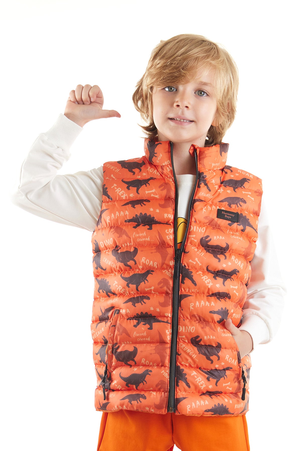 Boy Boy Dino Printed Trend Inflatable Vest AK216061