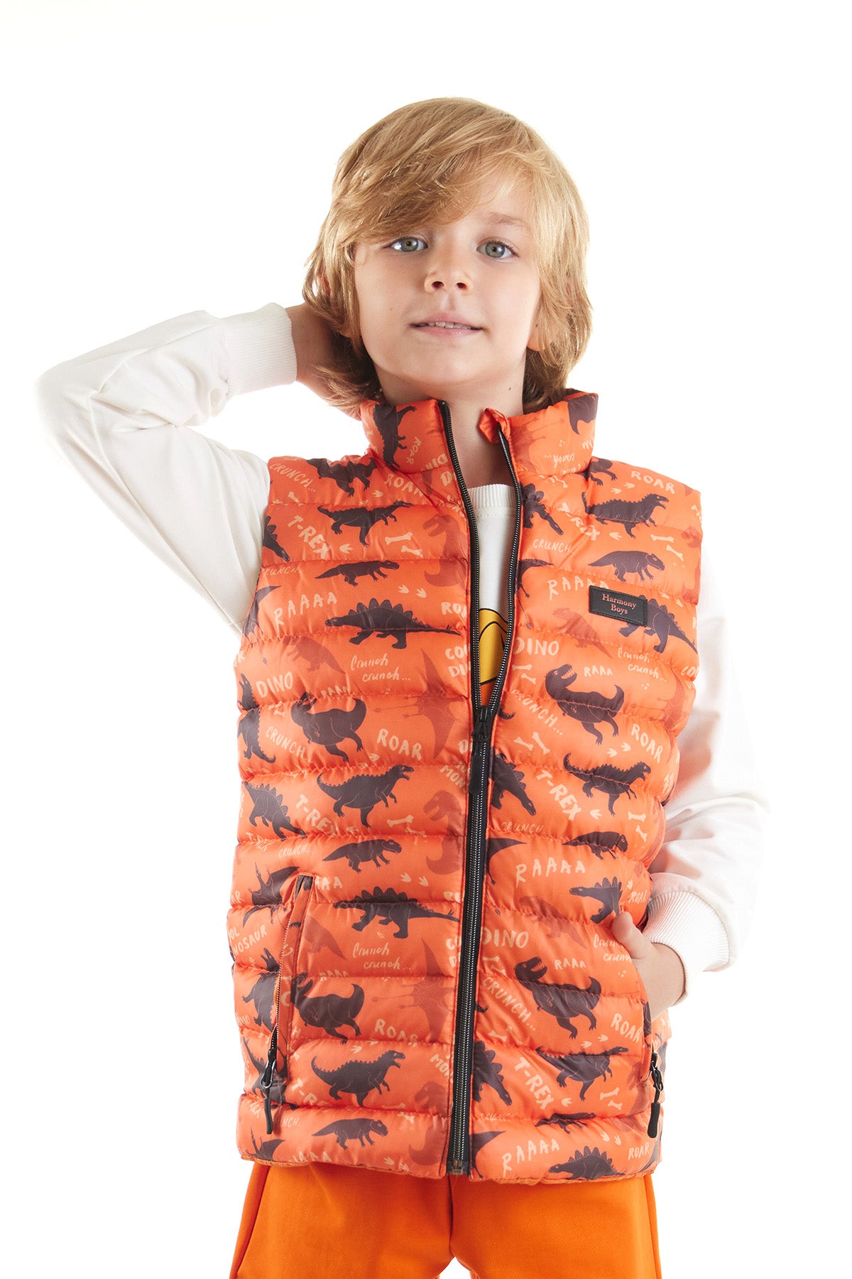 Boy Boy Dino Printed Trend Inflatable Vest AK216061