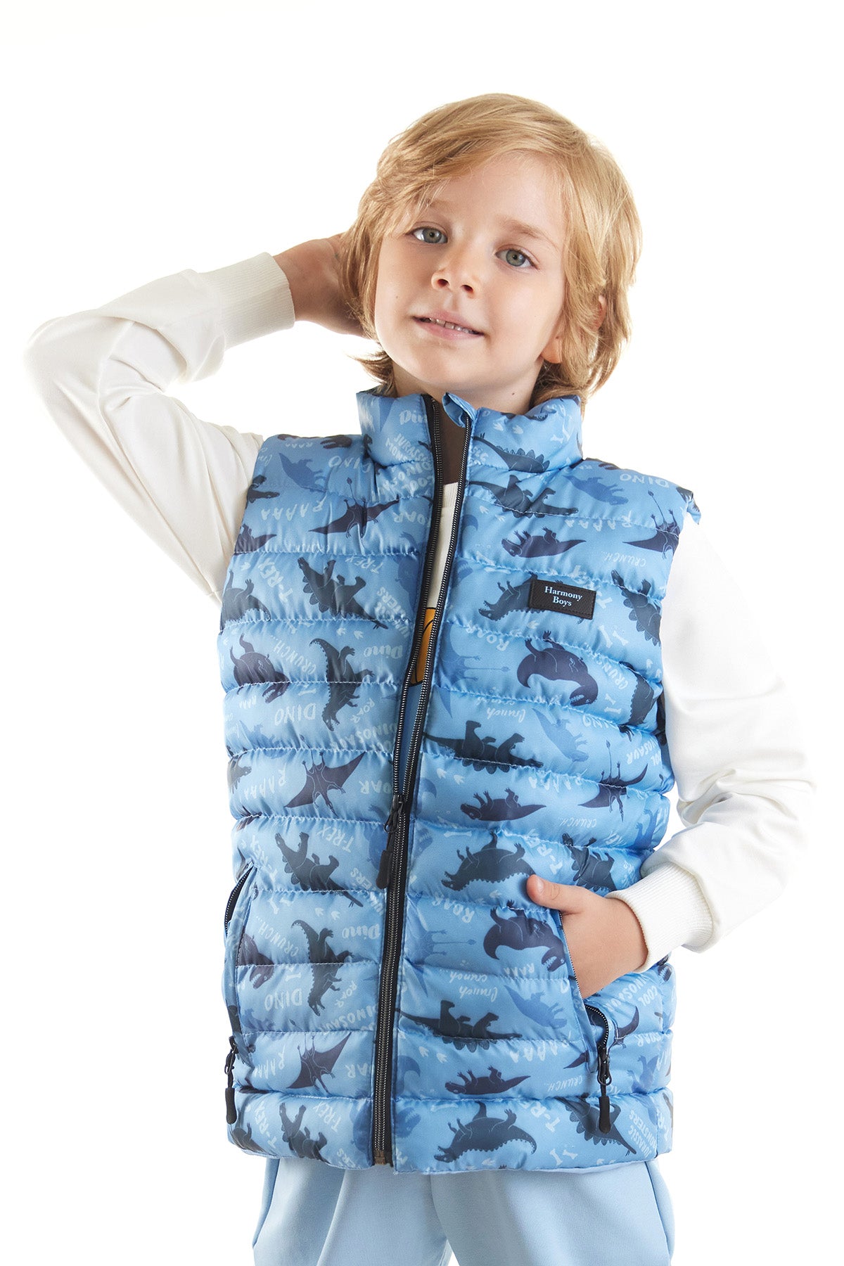 Boy Boy Dino Printed Trend Inflatable Vest AK216061