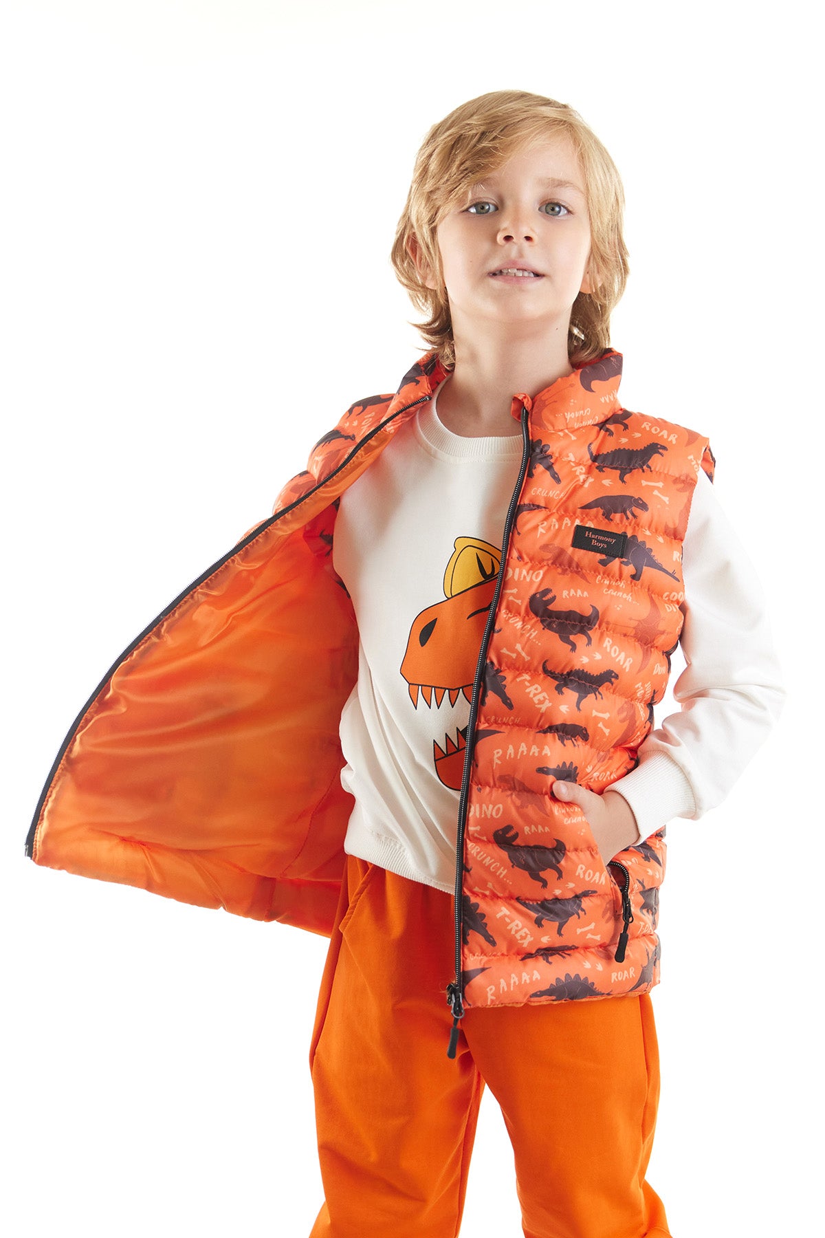 Boy Boy Dino Printed Trend Inflatable Vest AK216061