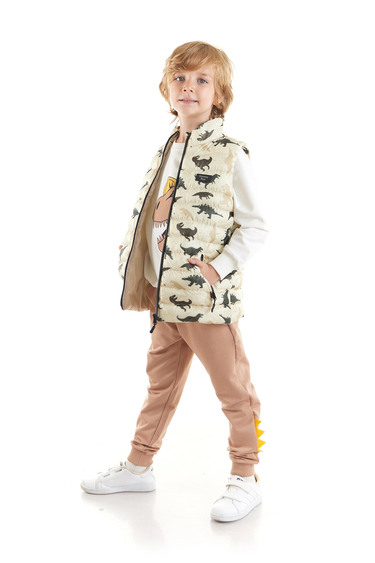 Boy Boy Dino Printed Trend Inflatable Vest AK216061