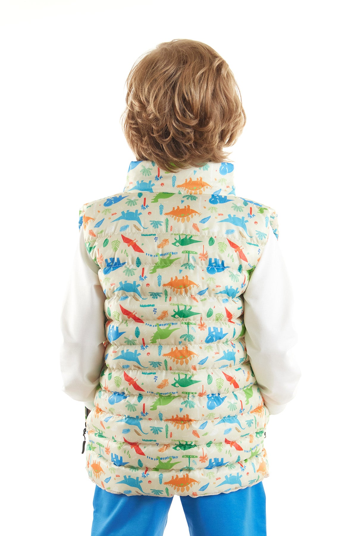 Boys' Dinosaur Printed Trend Inflatable Vest Ak216263