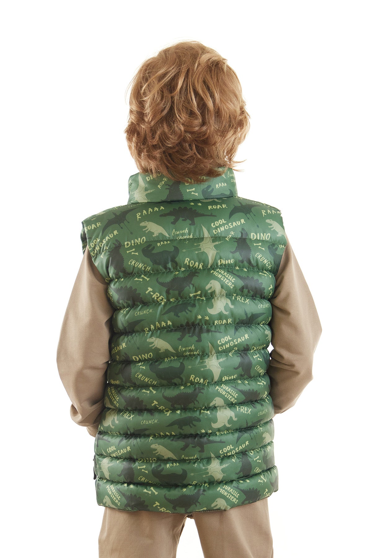 Boy Boy Dino Printed Trend Inflatable Vest AK216061