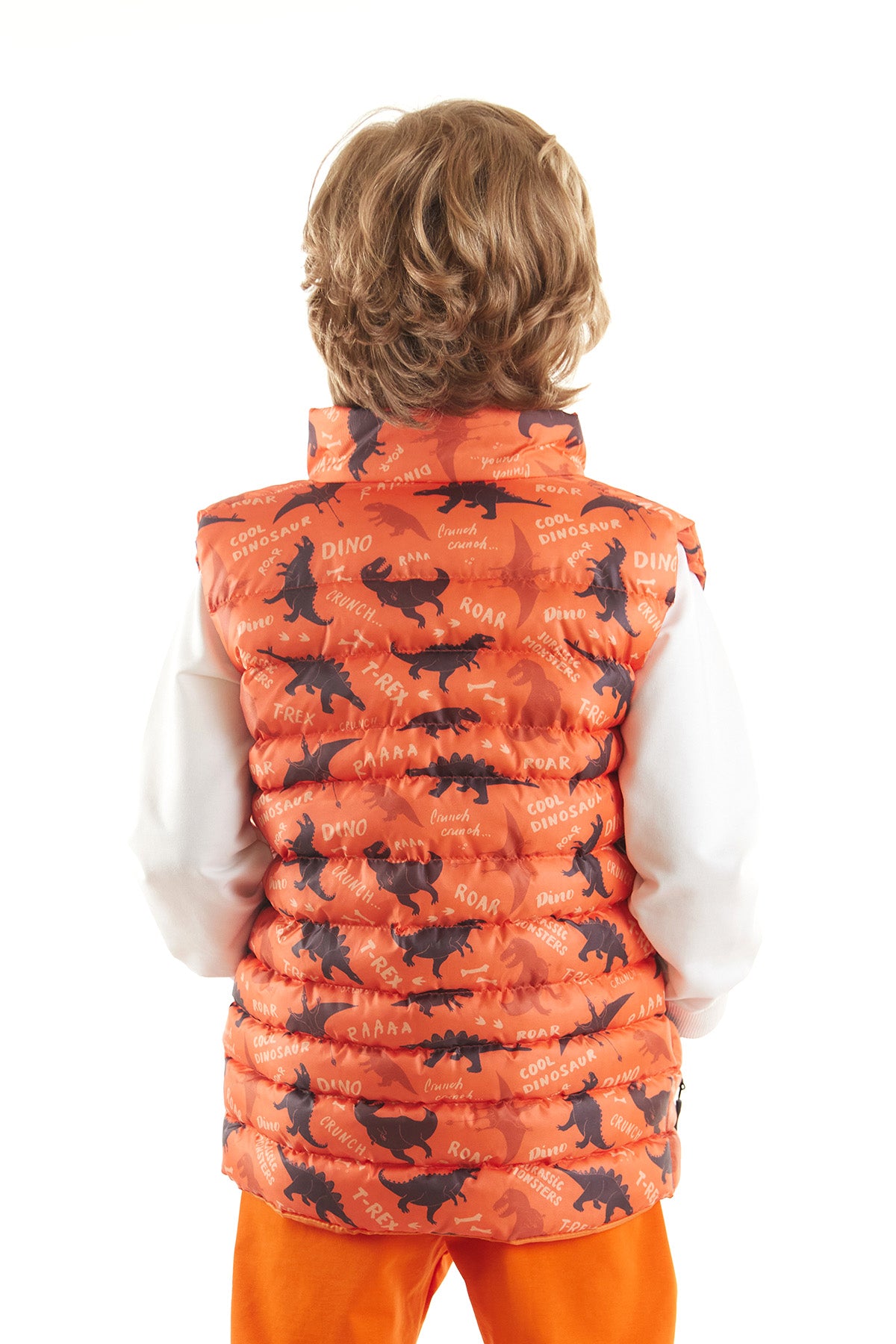 Boy Boy Dino Printed Trend Inflatable Vest AK216061