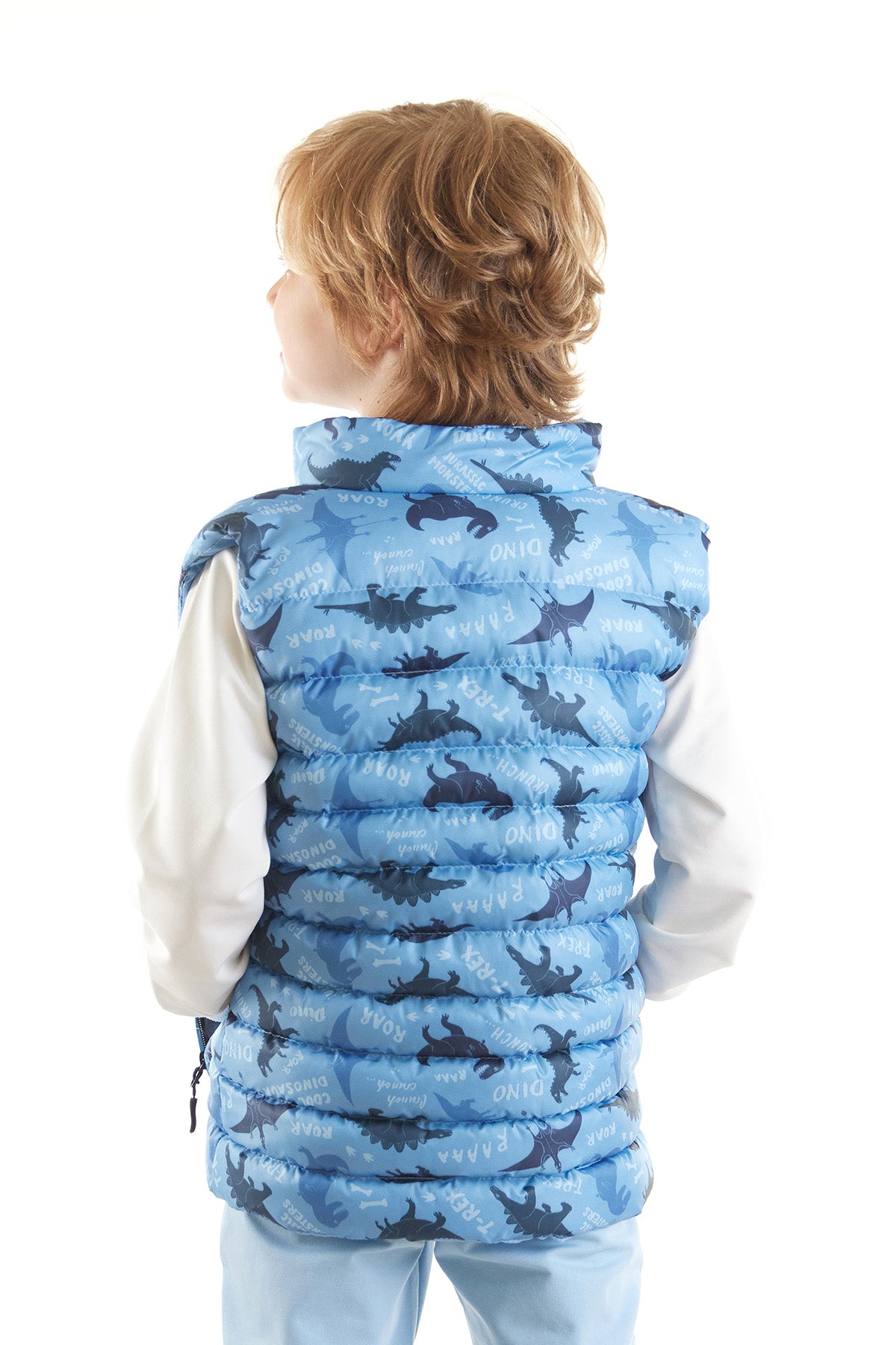 Boy Boy Dino Printed Trend Inflatable Vest AK216061